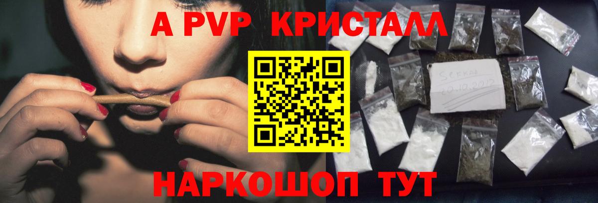 Alfa_PVP СК Волгоград