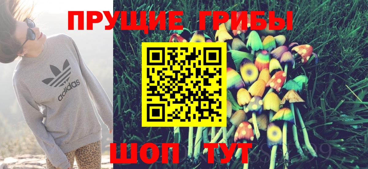 Галлюциногенные грибы Psilocybine cubensis Волгоград